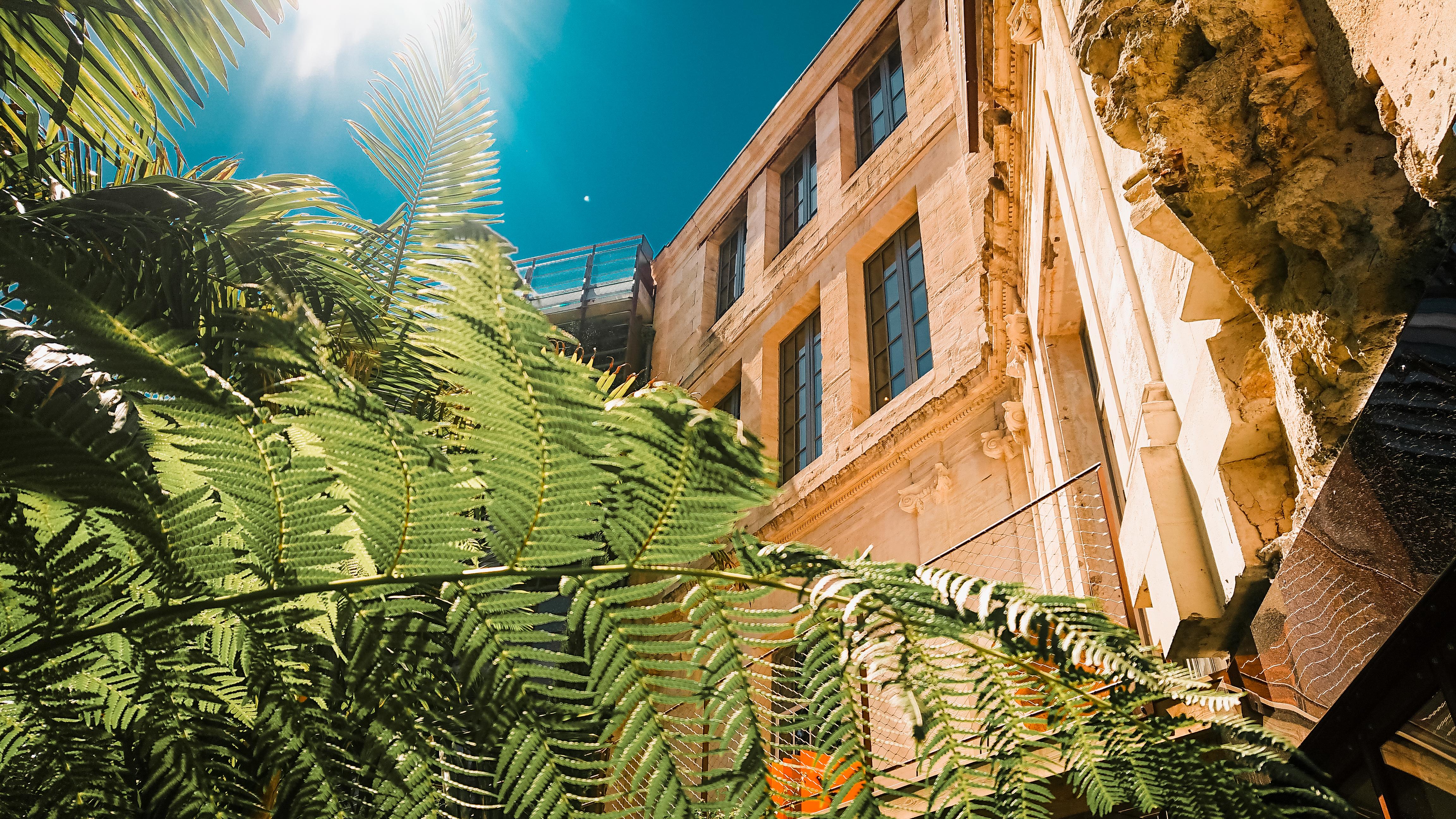 Hotel La Zoologie & Spa Burdeos Exterior foto